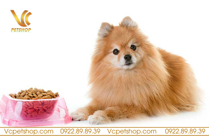 Thức Ăn Hạt Cho Chó Phốc Sóc