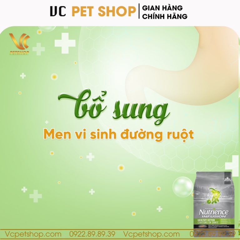 Thức ăn cho mèo con Nutrience Infusion