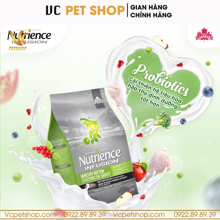 Lợi ích của Nutrience Infusion cho mèo con: