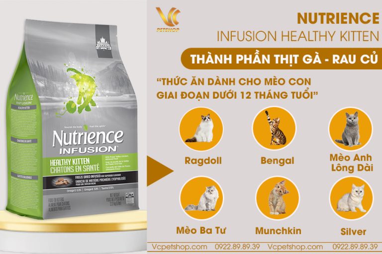 thức ăn cho mèo con Nutrience Infusion