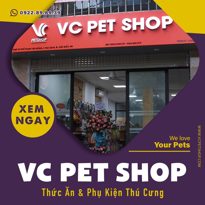 thức ăn hạt cho chó