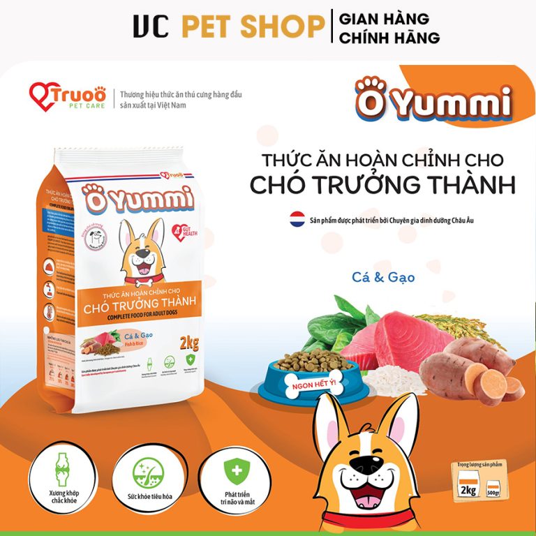 Thức Ăn Cho Chó Trưởng Thành Yummi Giống Lớn