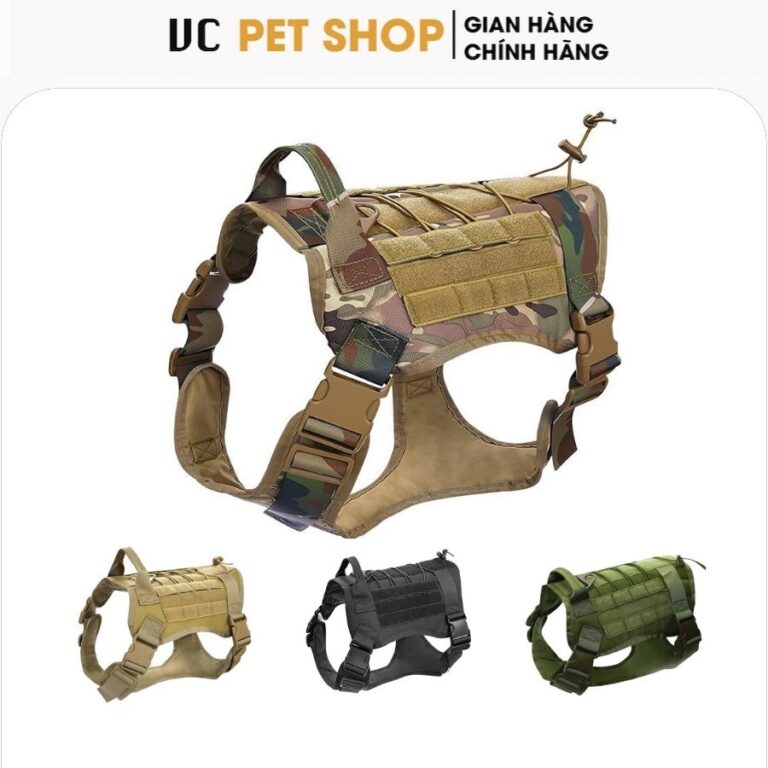 Đai Lưng Chó Huấn Luyện Cao Cấp