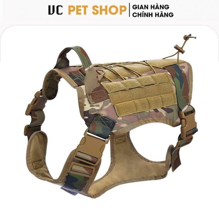 Đai Lưng Chó Huấn Luyện Cao Cấp