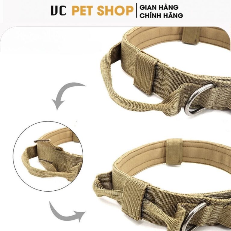 vòng cổ cho chó nghiệp vụ