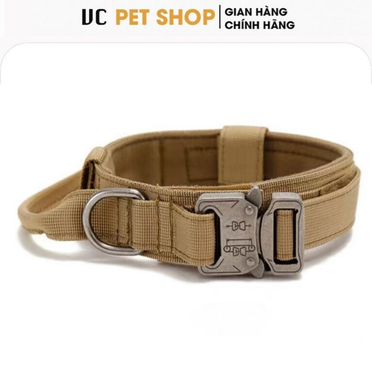 vòng cổ cho chó huấn luyện