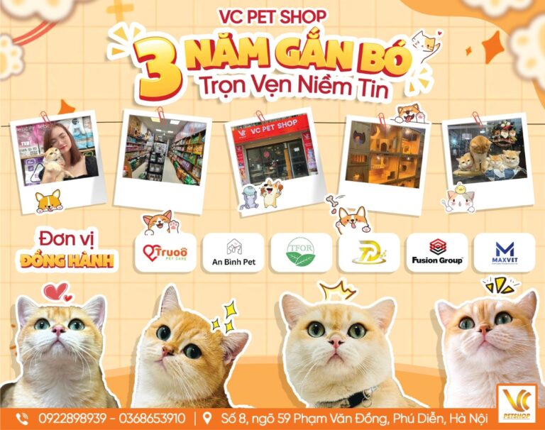 VC Pet Shop – 3 Năm Gắn Bó, Trọn Vẹn Niềm Tin